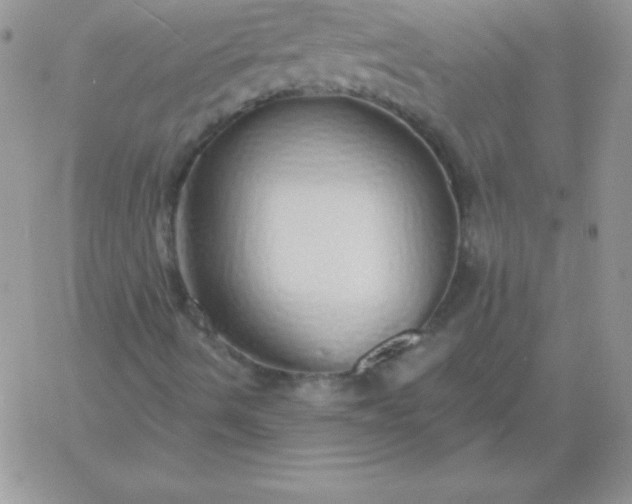 X0000060761490200511241715