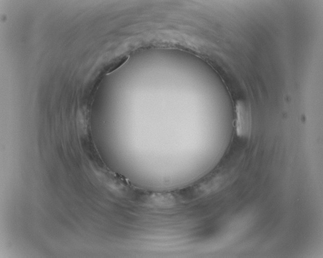 X0000060761491200511241715