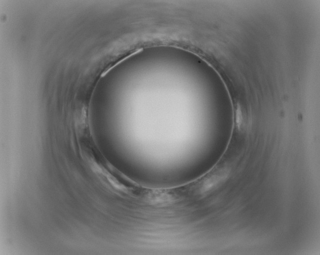 X0000060761492200511241715