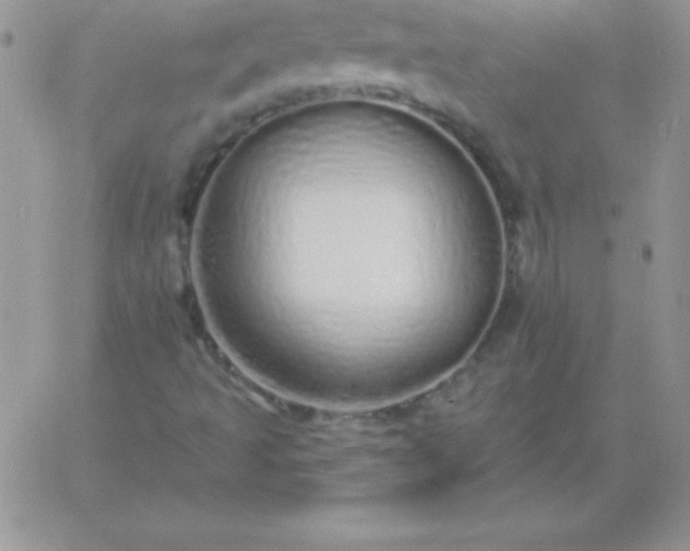 X0000060761493200511241715