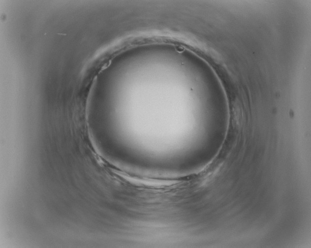 X0000060761494200511241715