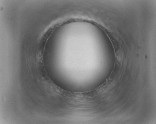 X0000060761495200511241715