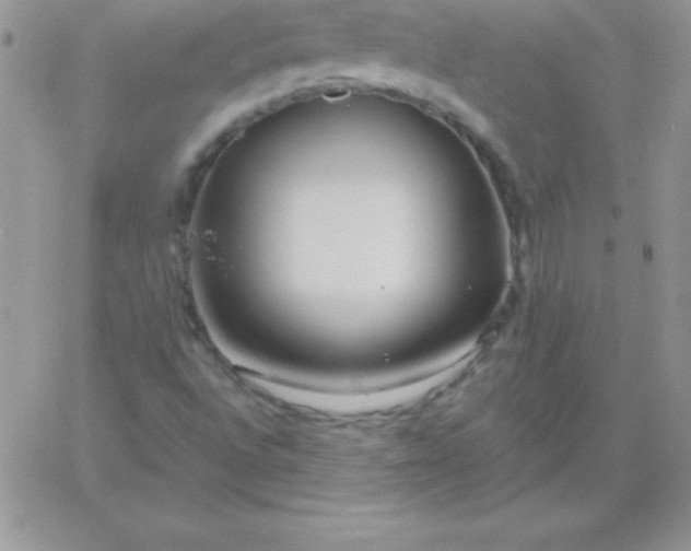 X0000060761496200511241715