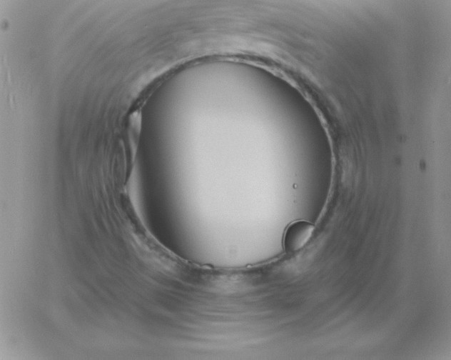 X0000060761497200511241715