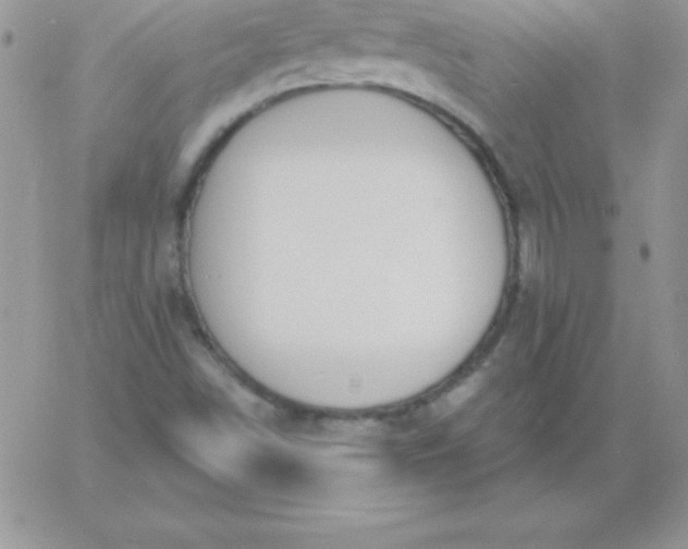 X0000060761498200511241715