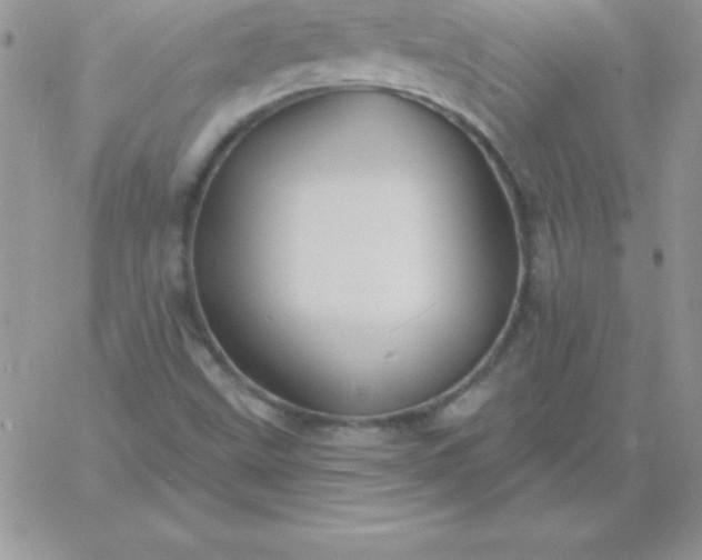 X0000060761499200511241715