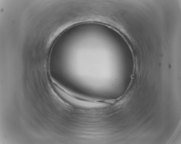 X0000060761500200511241715