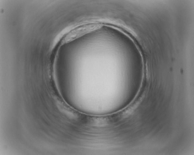 X0000060761501200511241715