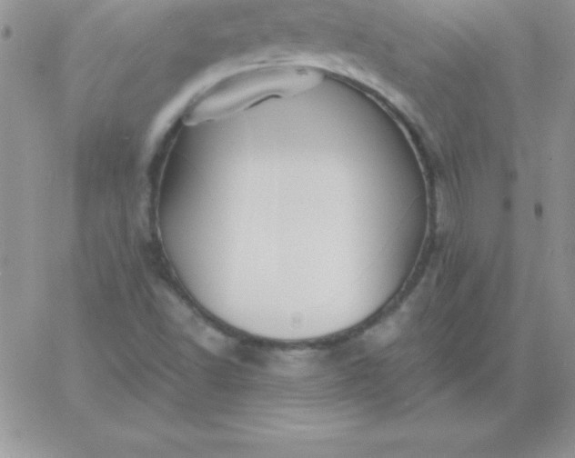 X0000060761502200511241715