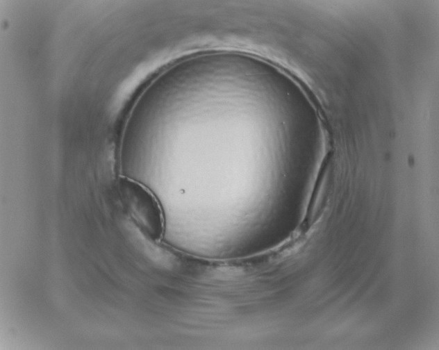 X0000060761503200511241715