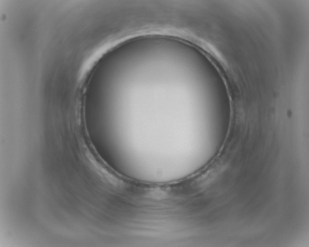 X0000060761504200511241715