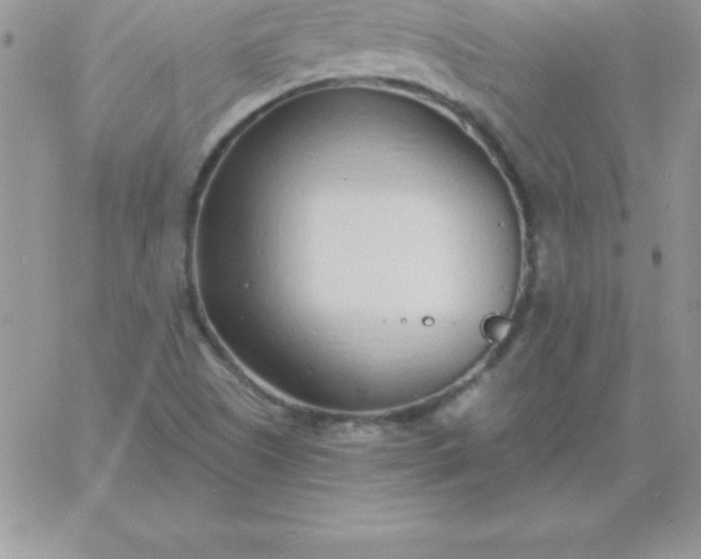 X0000060761505200511241715