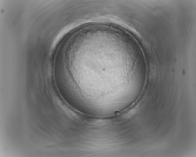 X0000060761506200511241715