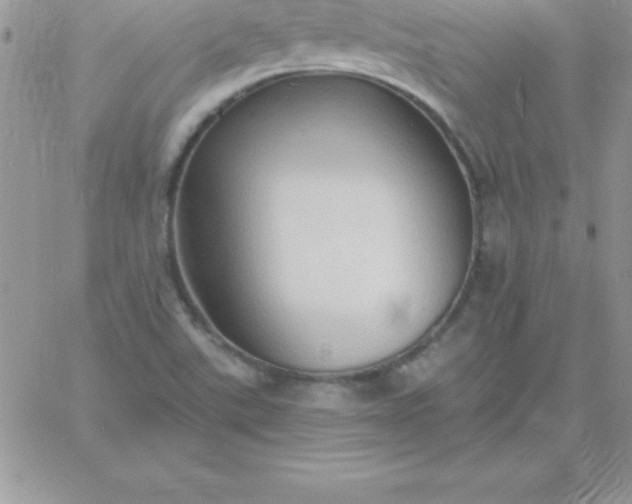 X0000060761507200511241715