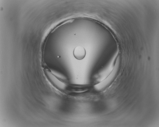 X0000060761508200511241715