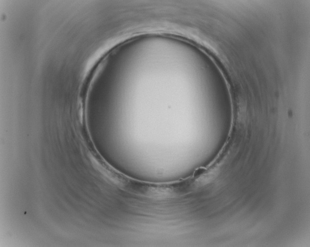 X0000060761509200511241715