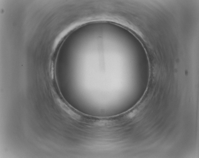 X0000060761510200511241715