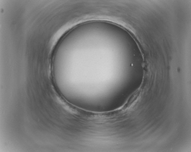 X0000060761511200511241715