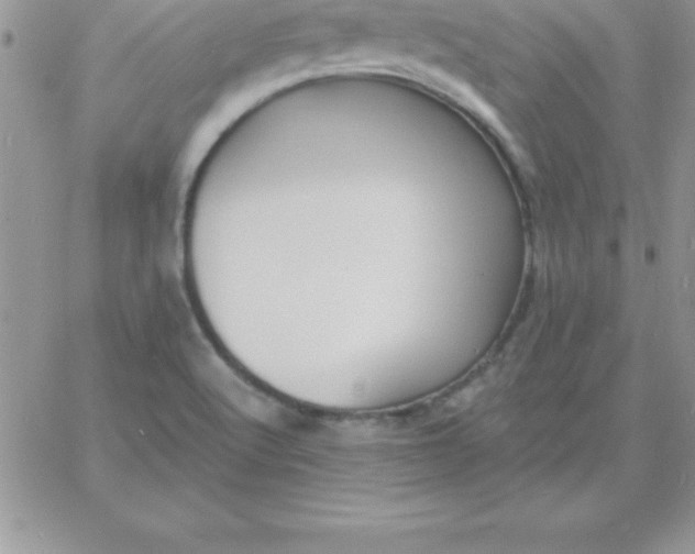 X0000060761512200511241715