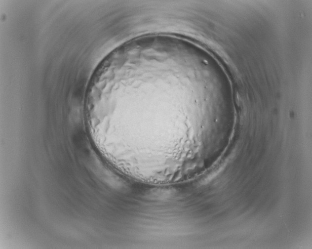 X0000060761513200511241715