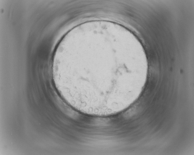 X0000060761514200511241715