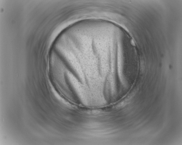 X0000060761515200511241715