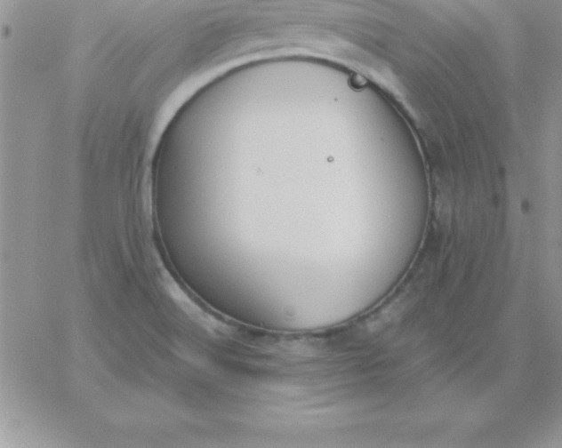 X0000060761516200511241715