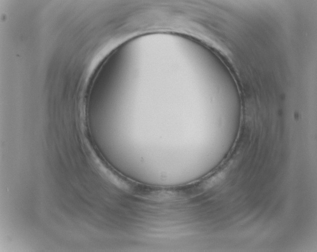 X0000060761517200511241715