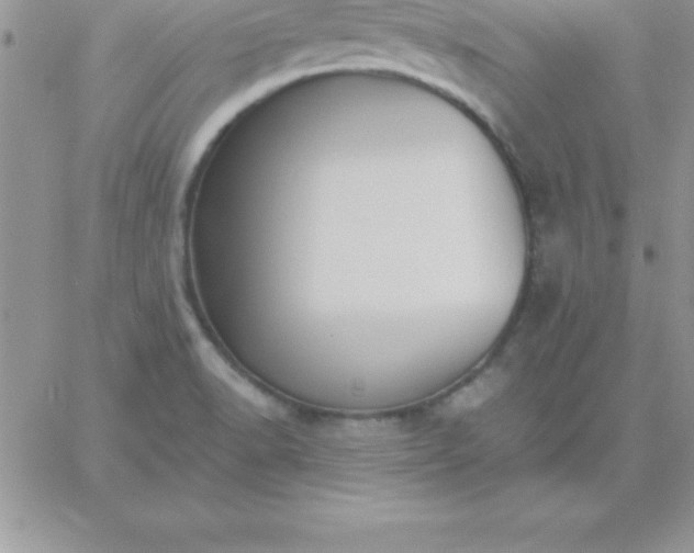 X0000060761518200511241715