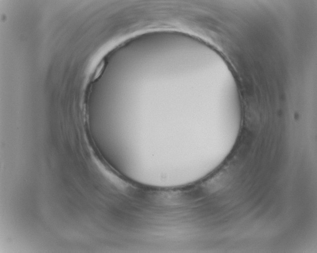 X0000060761519200511241715