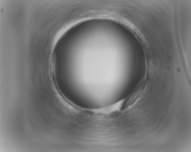 X0000060761520200511241715