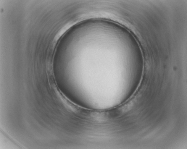 X0000060761521200511241715