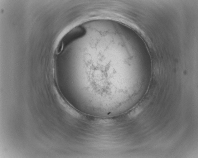 X0000060761522200511241715