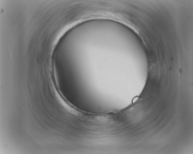 X0000060761523200511241715