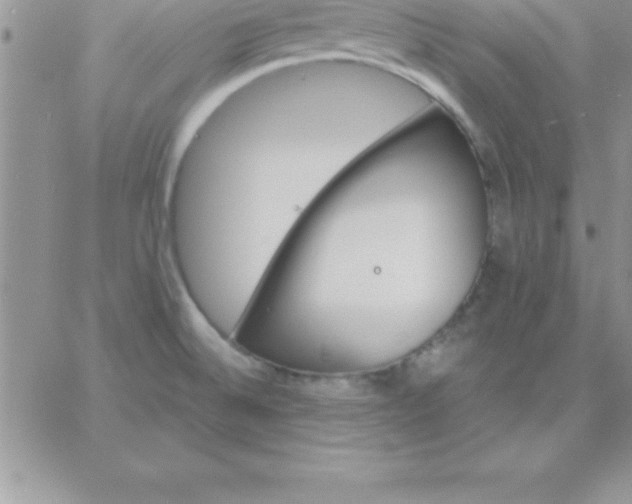 X0000060761524200511241715