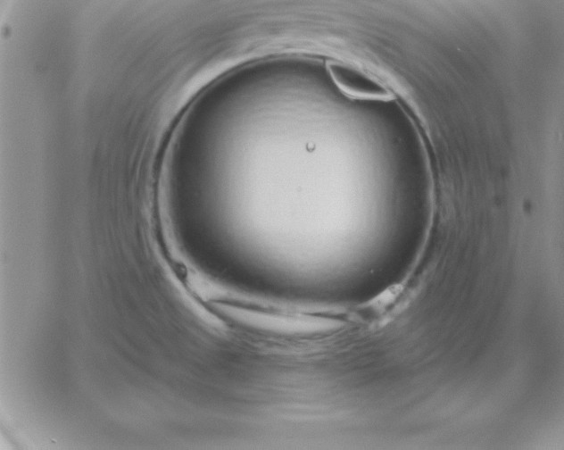 X0000060761525200511241715