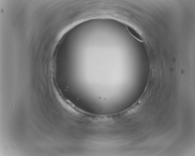 X0000060761526200511241715