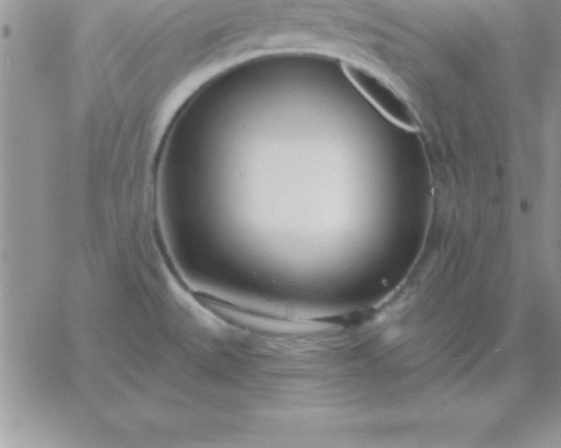 X0000060761527200511241715