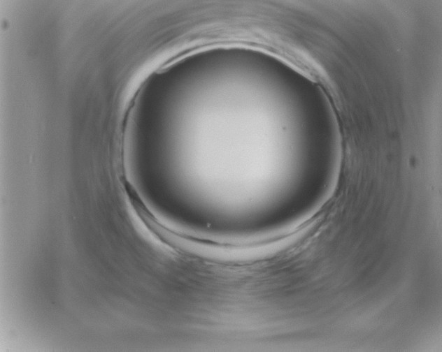 X0000060761528200511241715