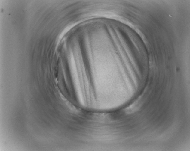 X0000060761529200511241715