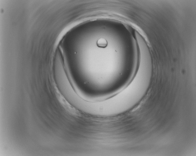 X0000060761530200511241716