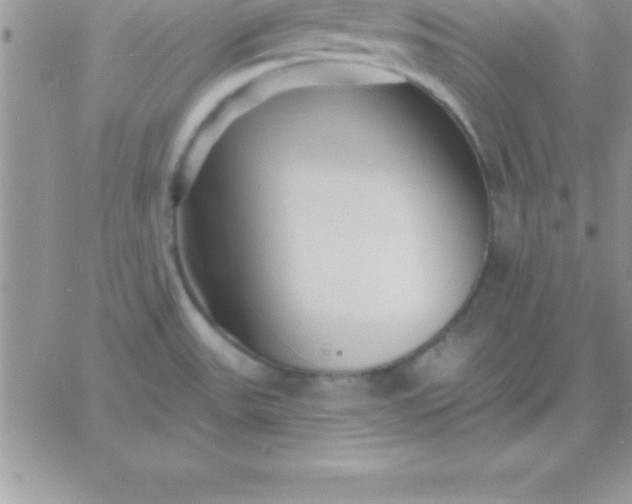 X0000060761531200511241716