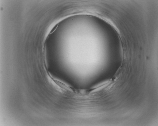 X0000060761532200511241716