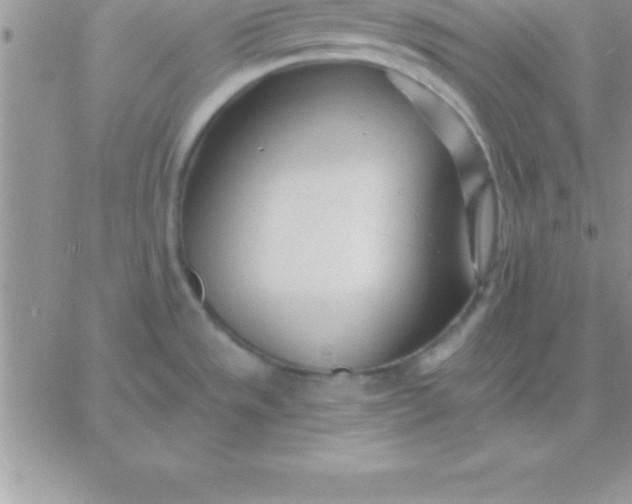 X0000060761533200511241716