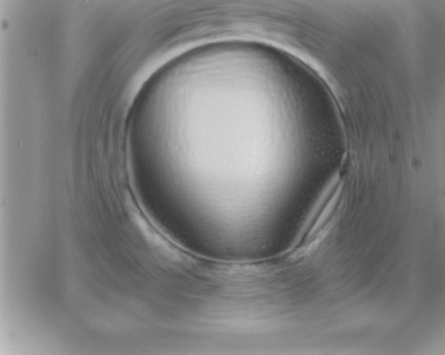 X0000060761534200511241716