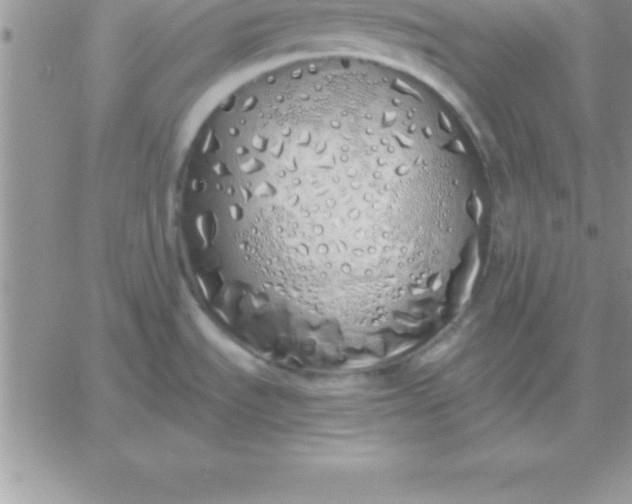 X0000060761535200511241716