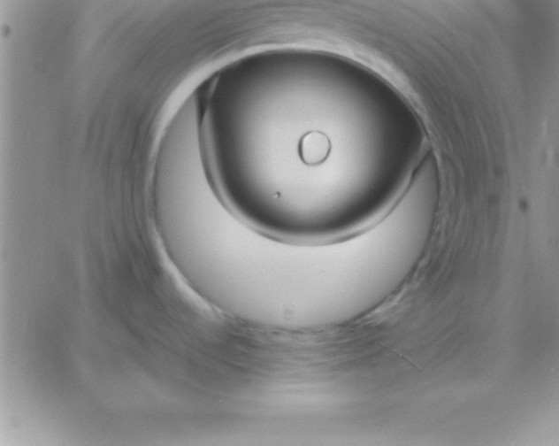 X0000060761536200511241716