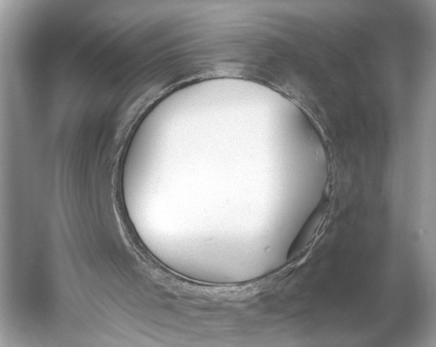 X0000060760001200512011526