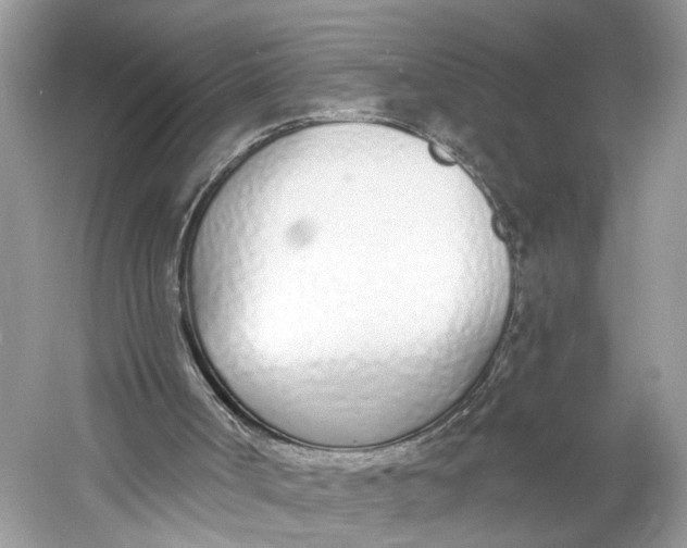 X0000060760002200512011526