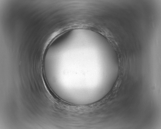 X0000060760003200512011526